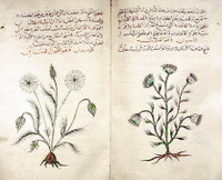 20070507_nonpharmacological